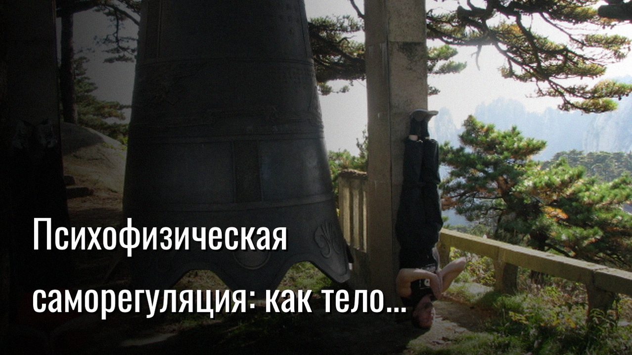 психофизическая саморегуляция — Константин Мухин