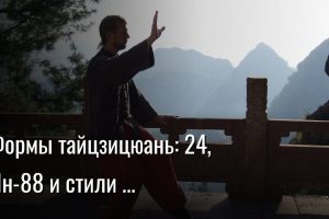 тайцзицюань формы — Константин Мухин