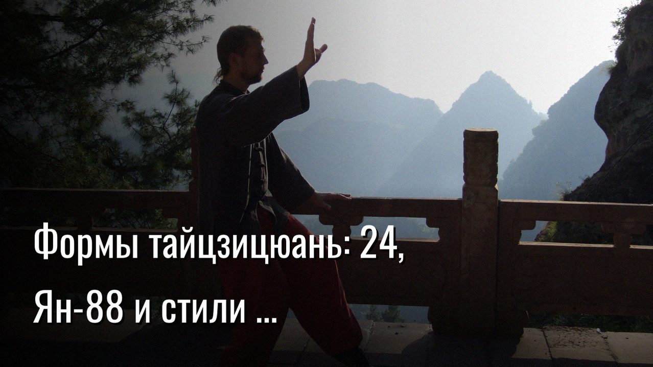 тайцзицюань формы — Константин Мухин