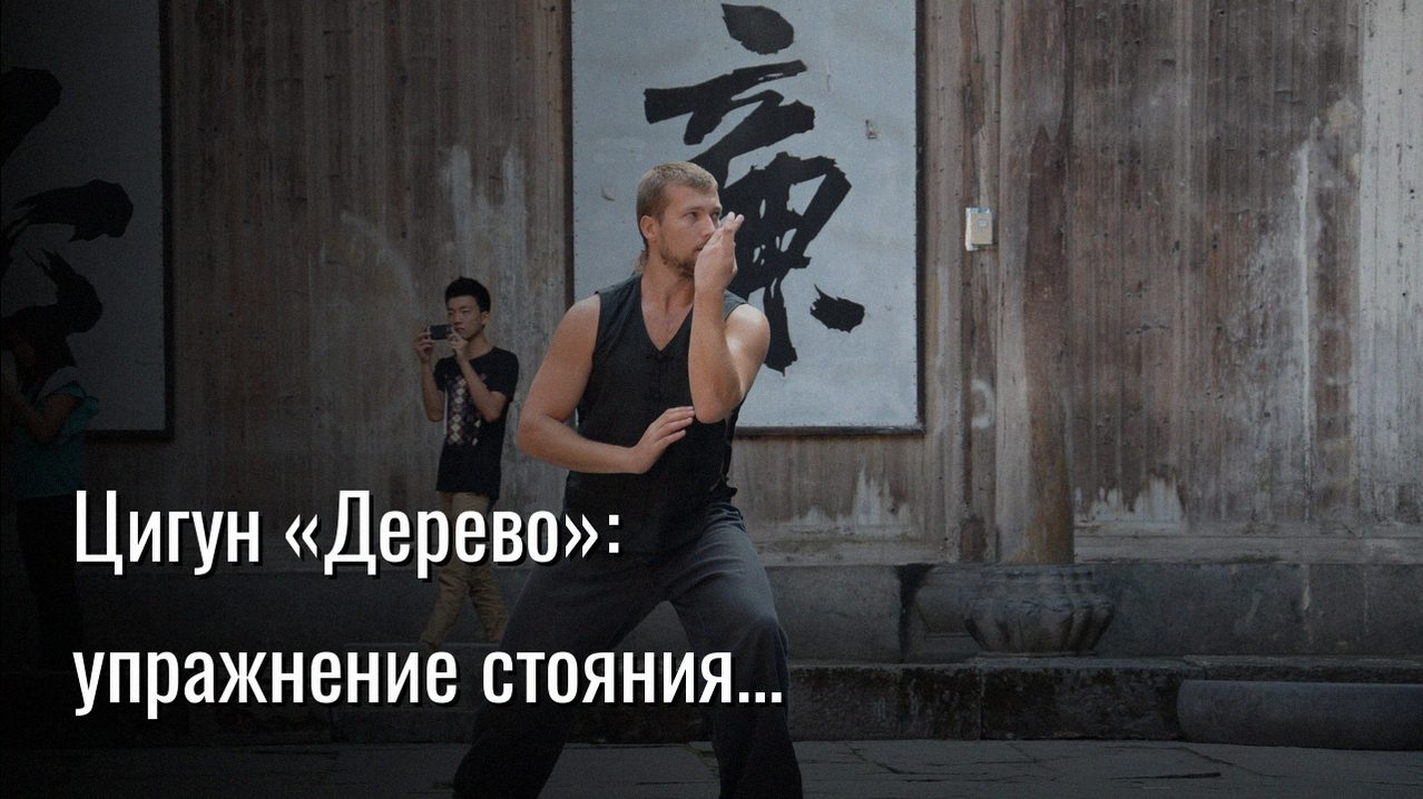цигун дерево упражнение — Константин Мухин